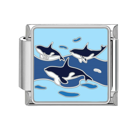 Dolphin