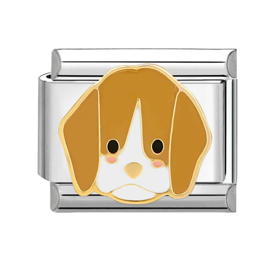 Labrador dog