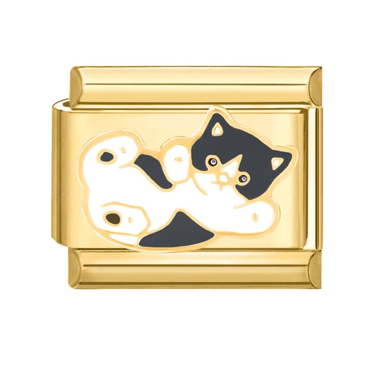 Cute little cat