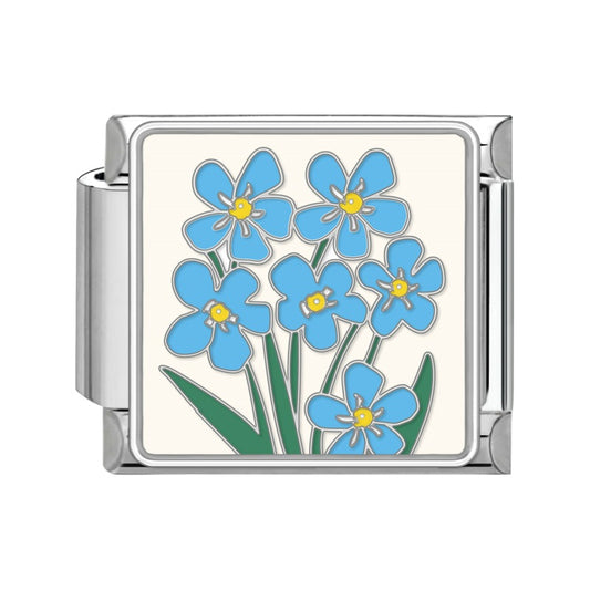 Blue daisy seedling