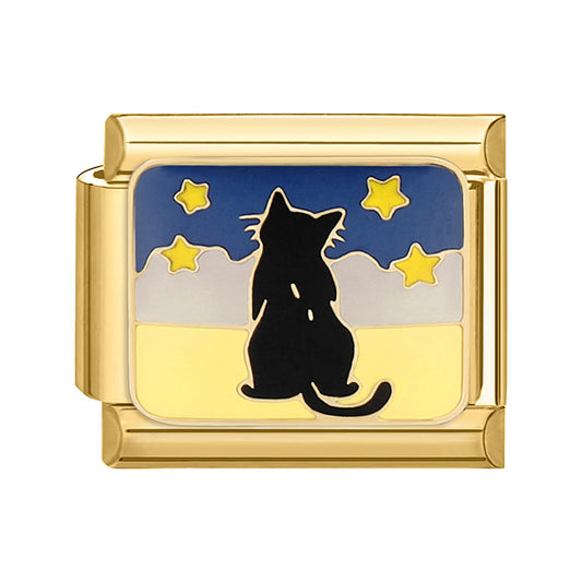 The cat looks at the stars