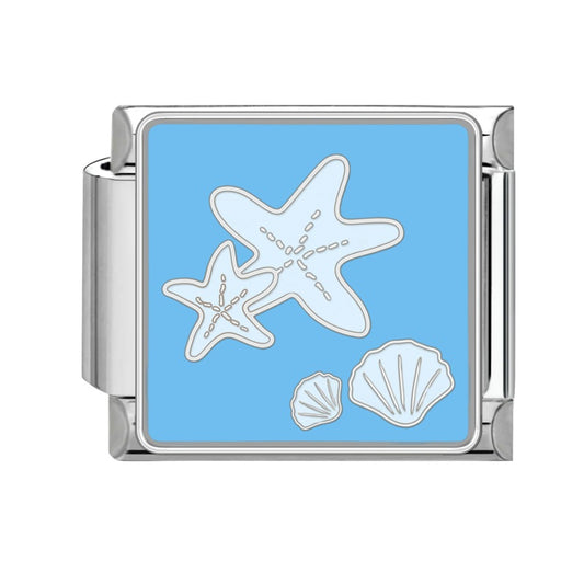 Starfish shell