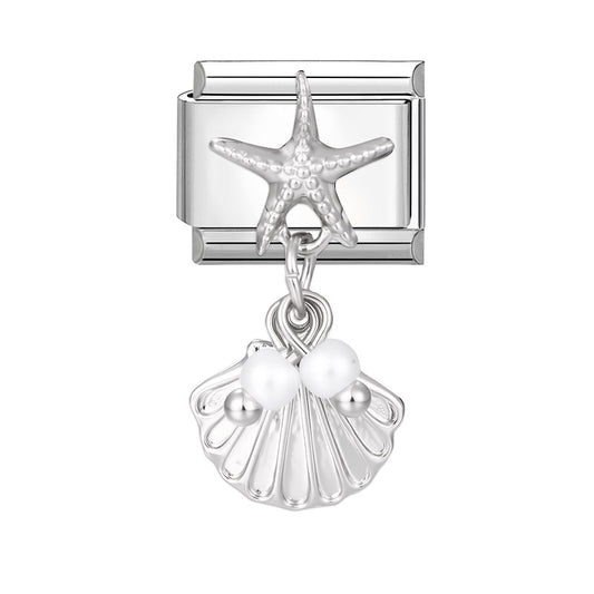 Sea Star Shell